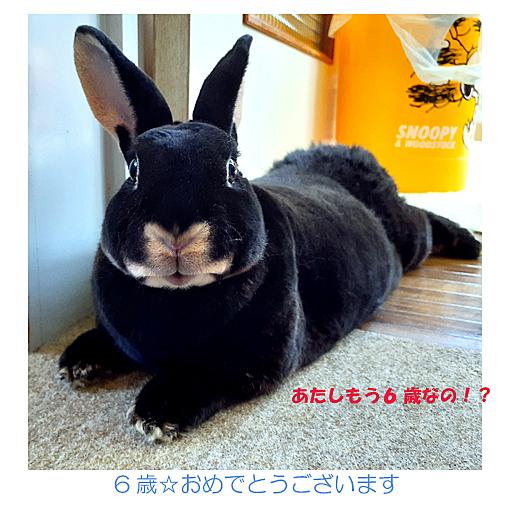 ギャフンとは 一般の人気 最新記事を集めました はてな ギャフンとは 一般の人気 最新記事を集めました はてな