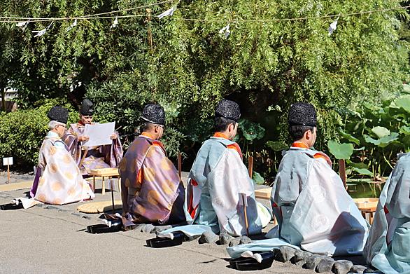 鶴岡八幡宮とは 一般の人気 最新記事を集めました はてな