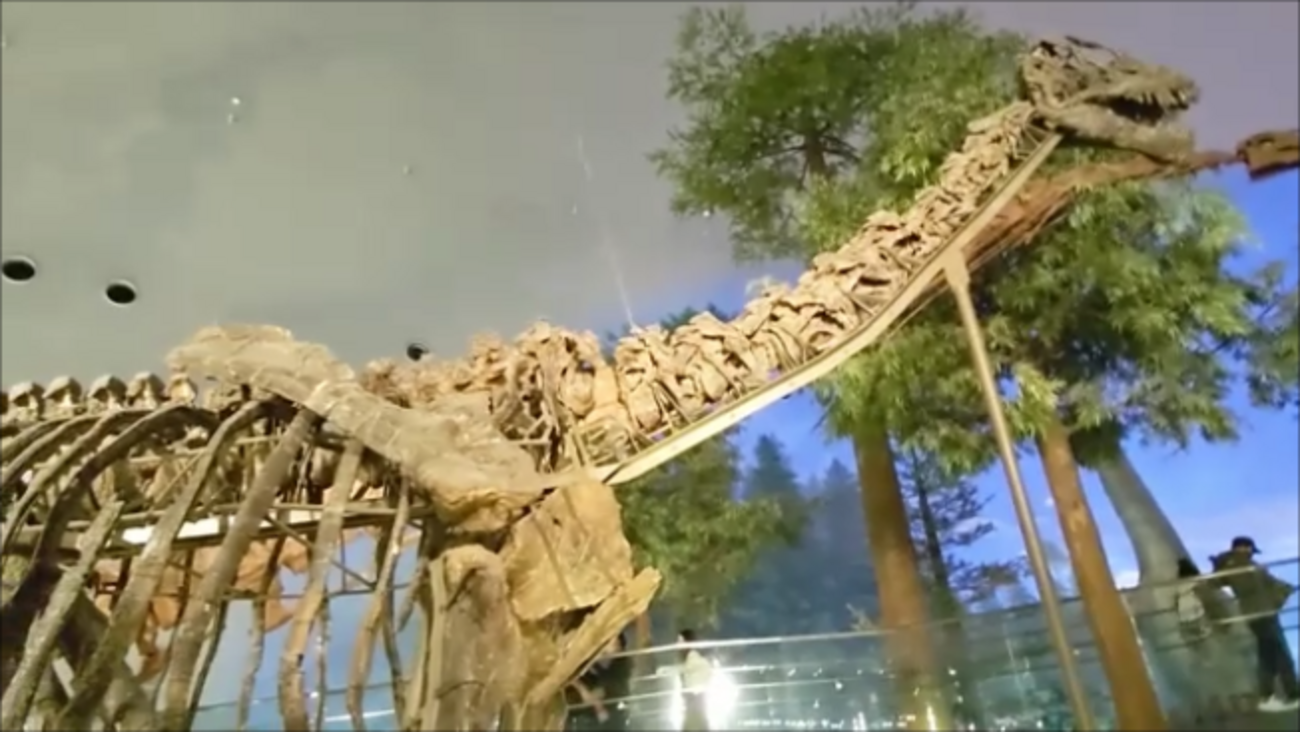 backend=imagemagick;version=1;