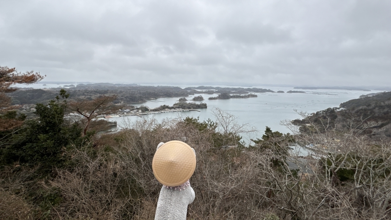 「おくのほそ道」のハイライト✨仙台～松島を歩く（後編：塩釜～松島）