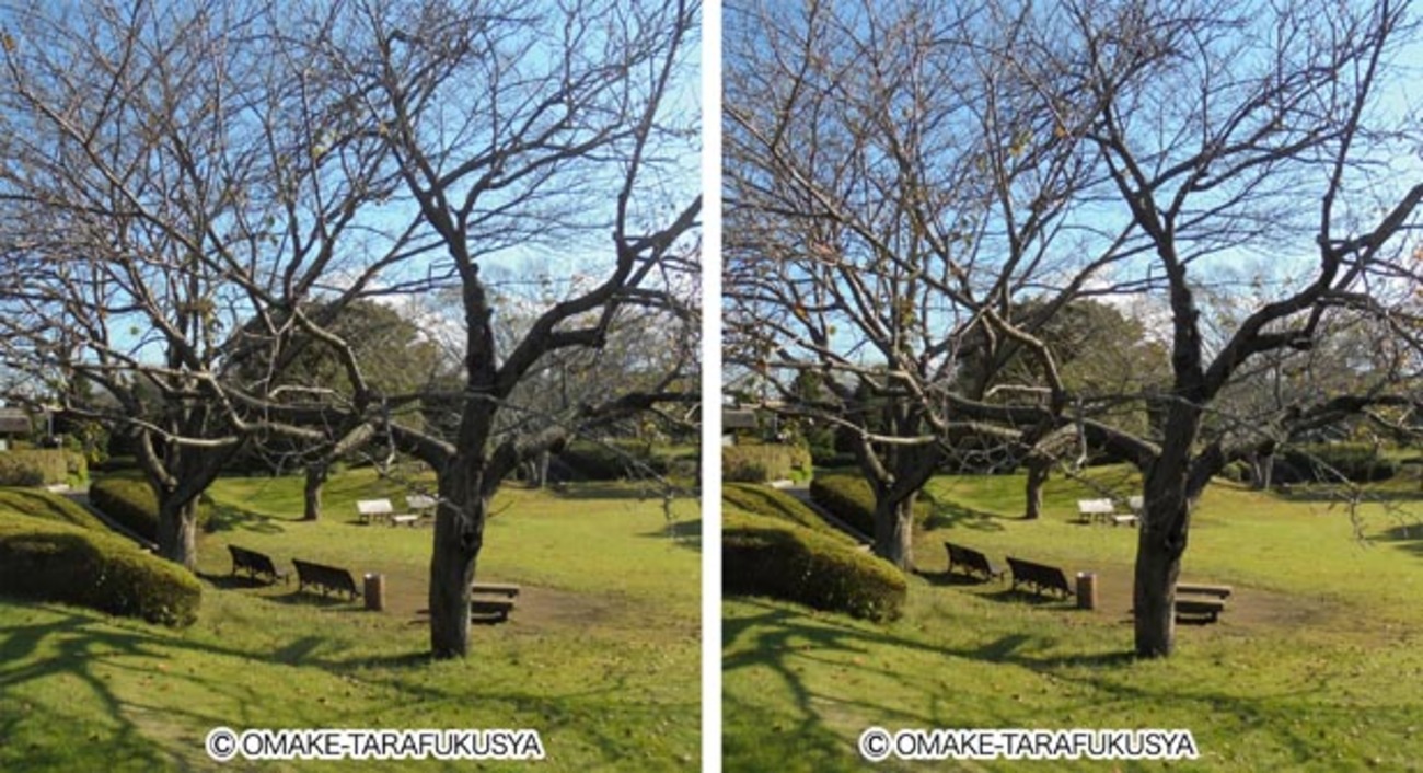 backend=imagemagick;version=1;