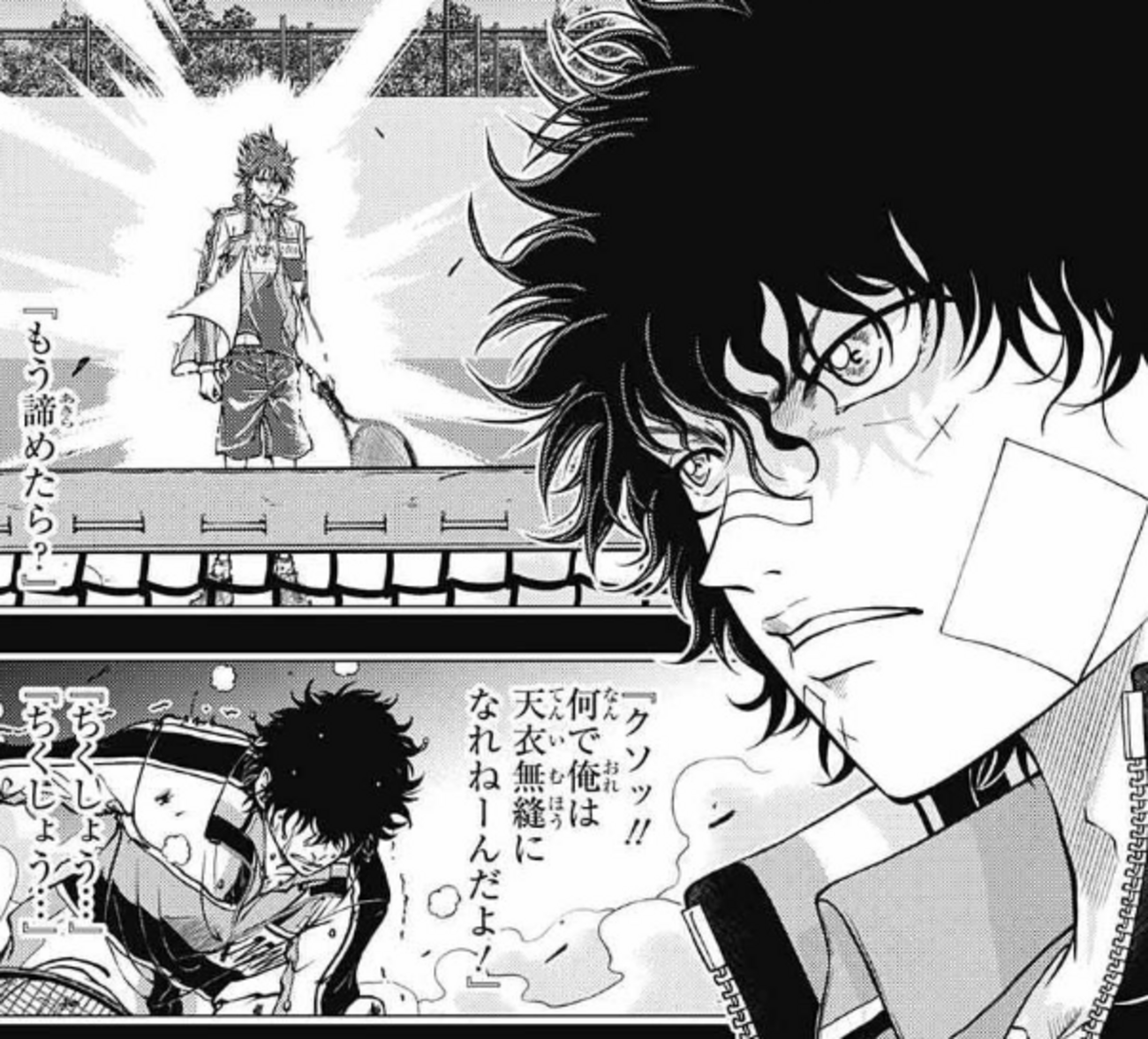 新テニスの王子様 手塚国光vs幸村精市 感想 - match333の日記