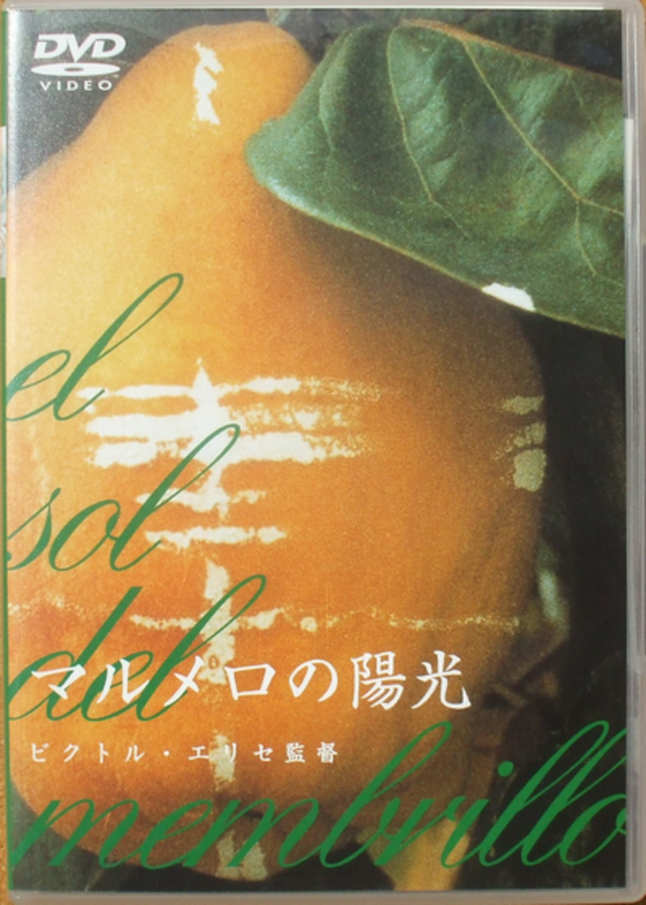 ビクトル・エリセ 『マルメロの陽光』 - 幻の猫たち 改訂版