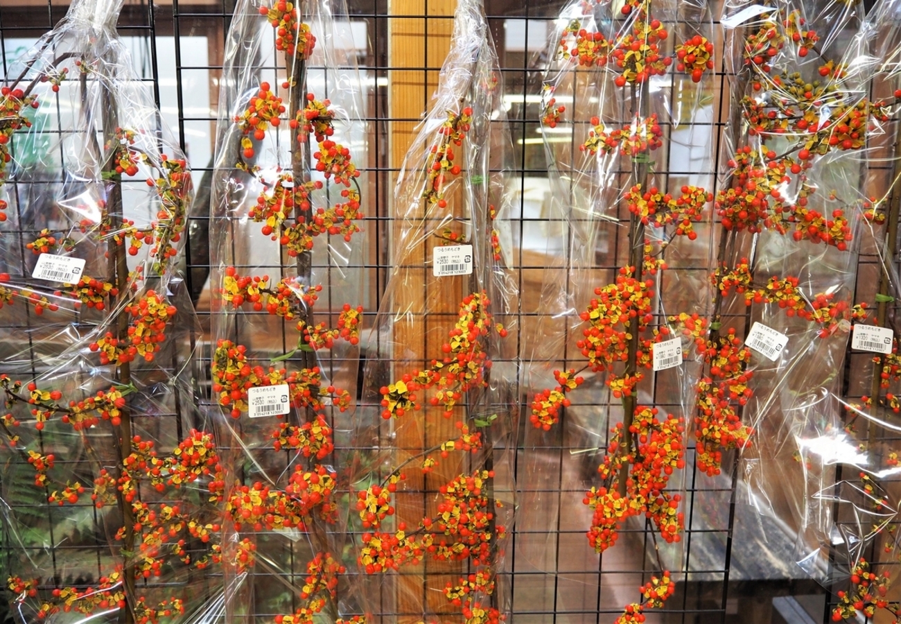 backend=imagemagick;version=1;