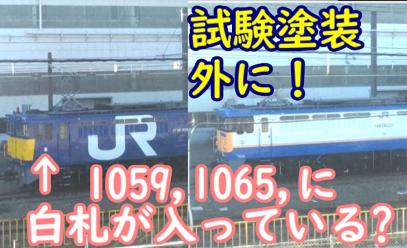 札入に白の札が入っている？EF65 1059・1065 試験塗装機 外に出