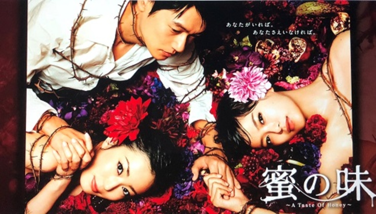 蜜の味 完全版 Blu-ray BOX 菅野美穂 井浦新 榮倉奈々 Amazon.co.jp: 蜜の味〜A Taste Of Honey〜 完全版 BD-BOX [Blu