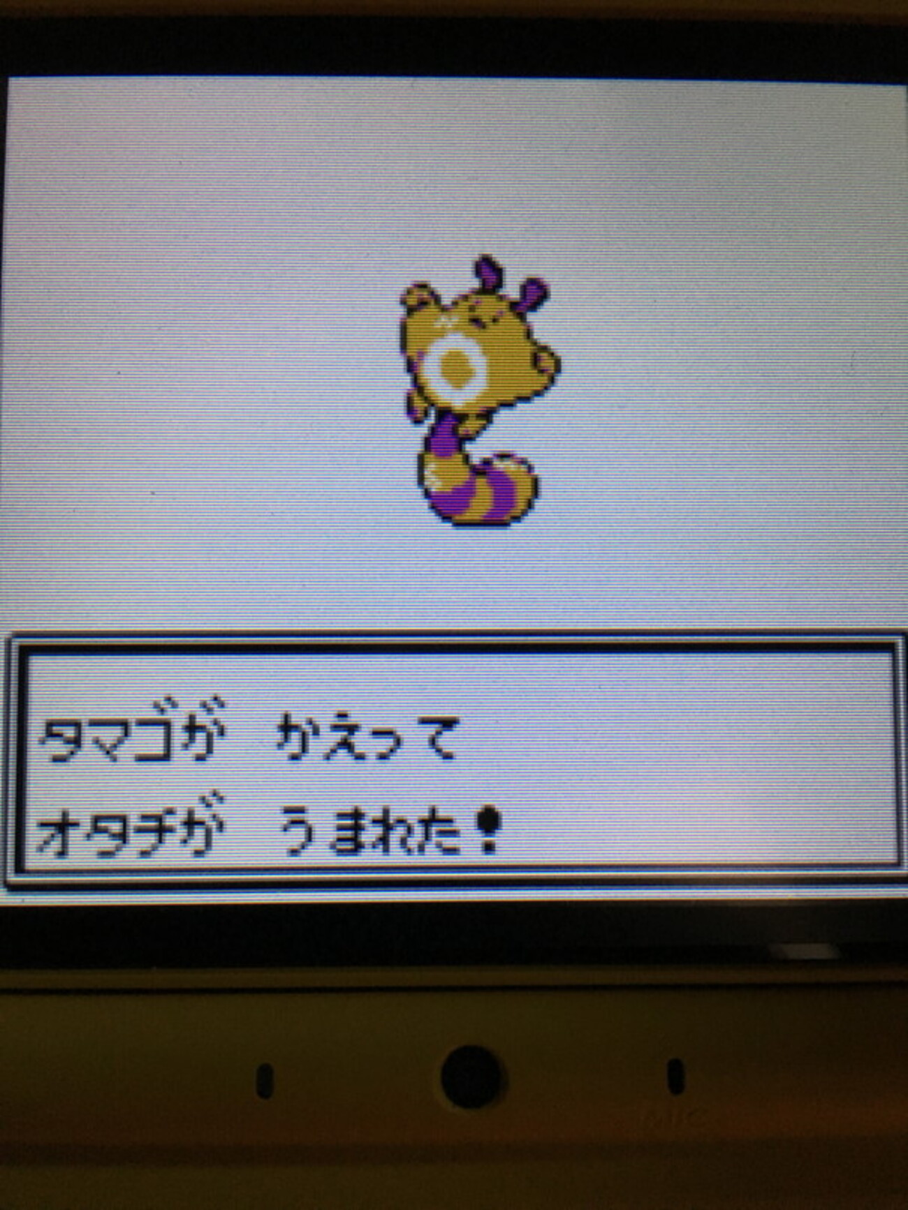 【激レア】 バウンドポケモンボール　オタチ ポケモン バウンドボール 入手困難 激レア ピカチュウ レトロ