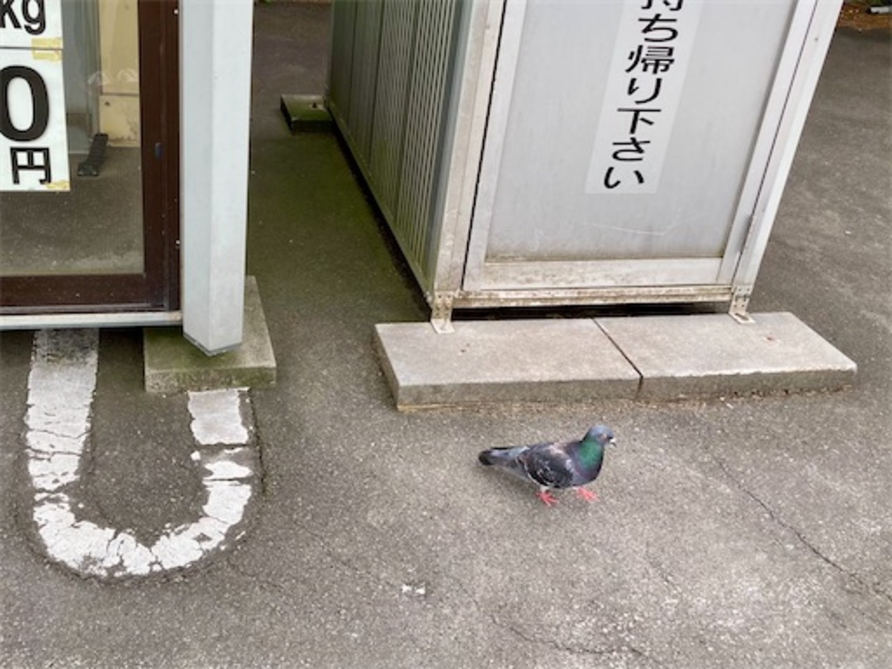 コイン精米機デビュー - 日々のつれづれ