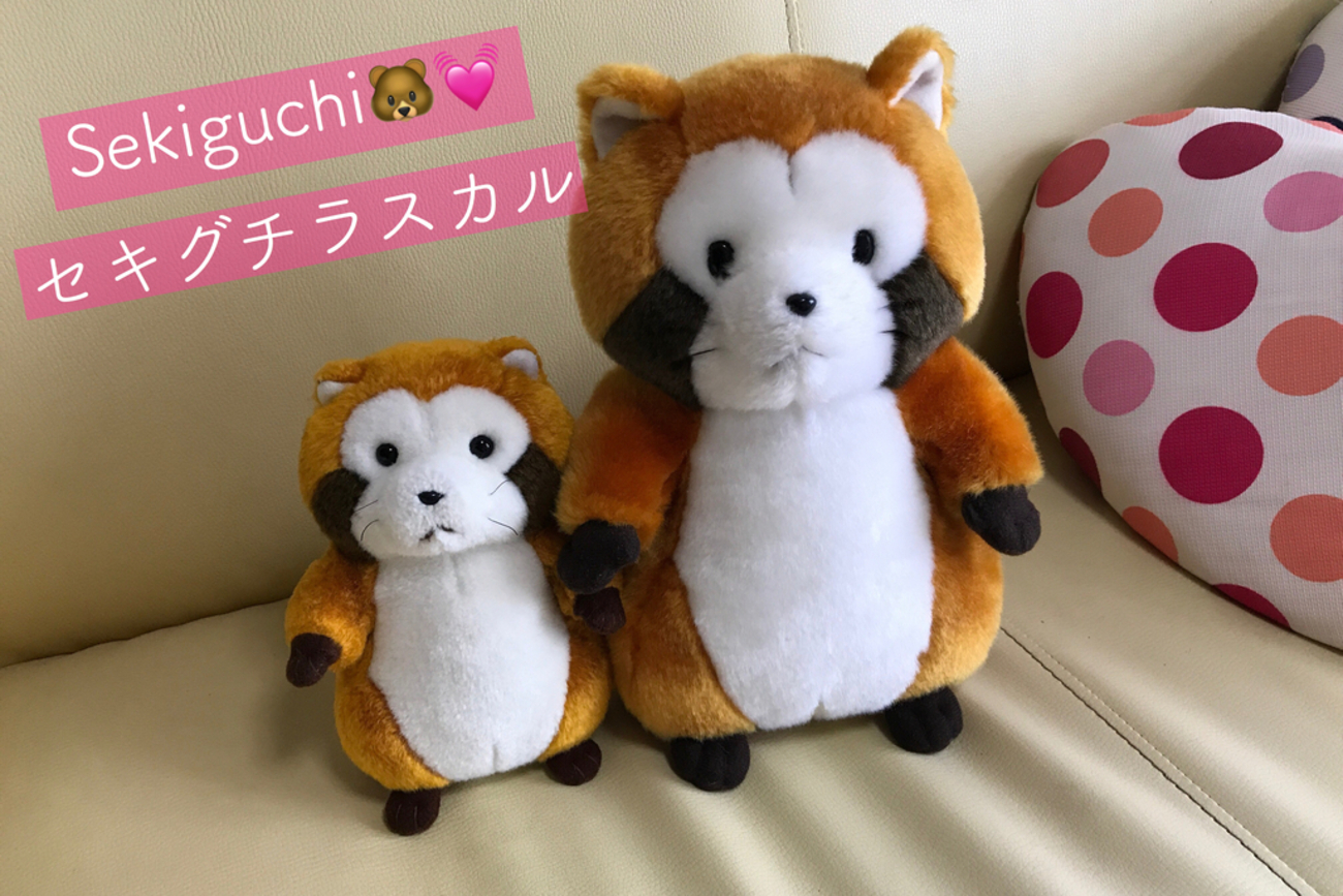 Sekiguchi（セキグチ）製のラスカルズが家族になりました♥ - こでん 
