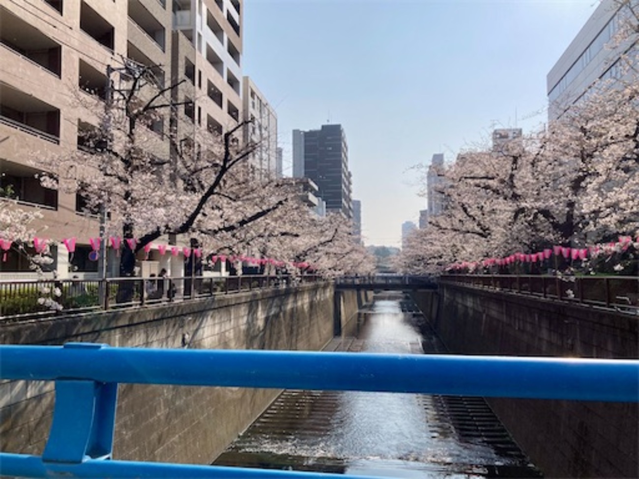 目黒川ウォーキング3月28日（日） - 昨日は何したかな？