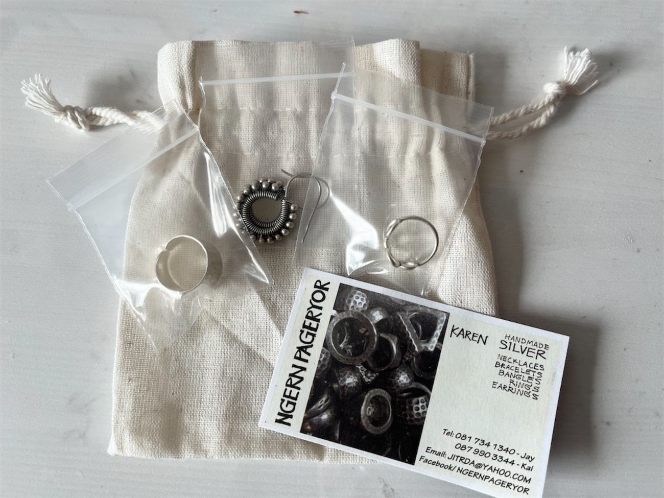 HGTV star Hilary Farr at the Home and Garden Show, image size:1300x975