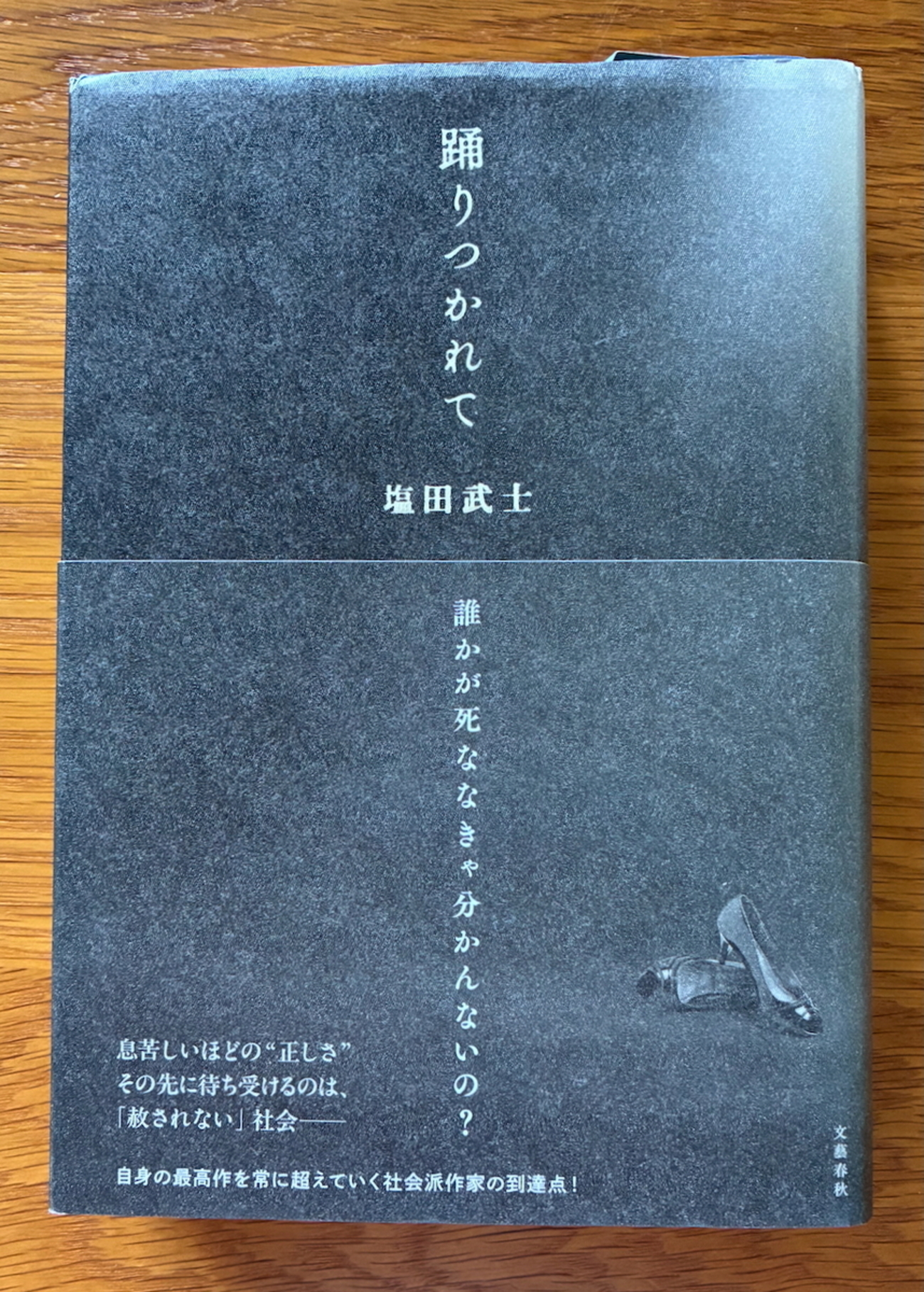 塩田武士「踊りつかれて」 - 読書日記