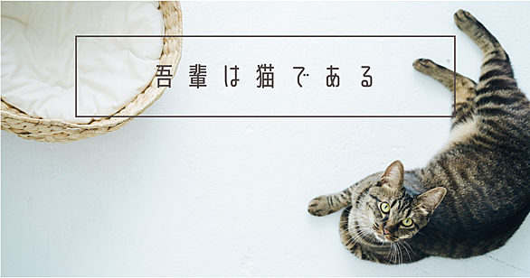 吾輩は猫であるとは 読書の人気 最新記事を集めました はてな