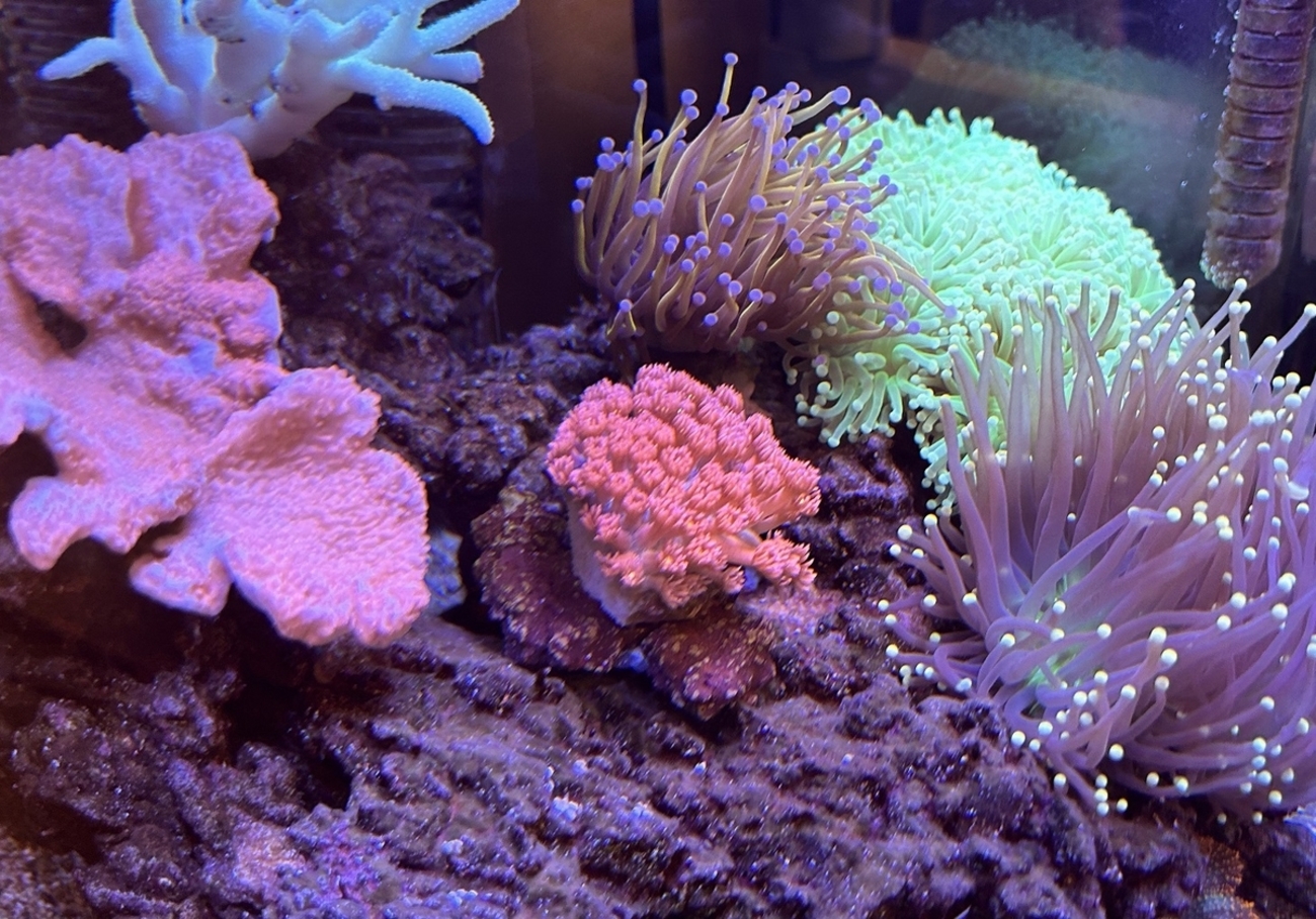 backend=imagemagick;version=1;