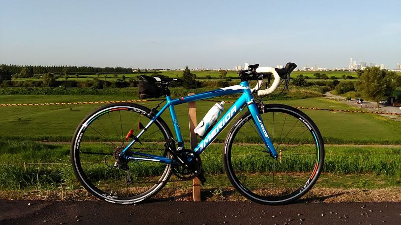 ALEXRIMS ALX473 インプレ - 漕ぐにてぃぶ