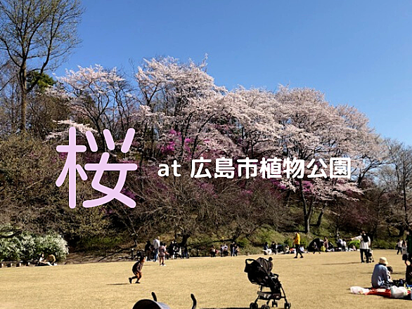 オオオニバスとは 動植物の人気 最新記事を集めました はてな