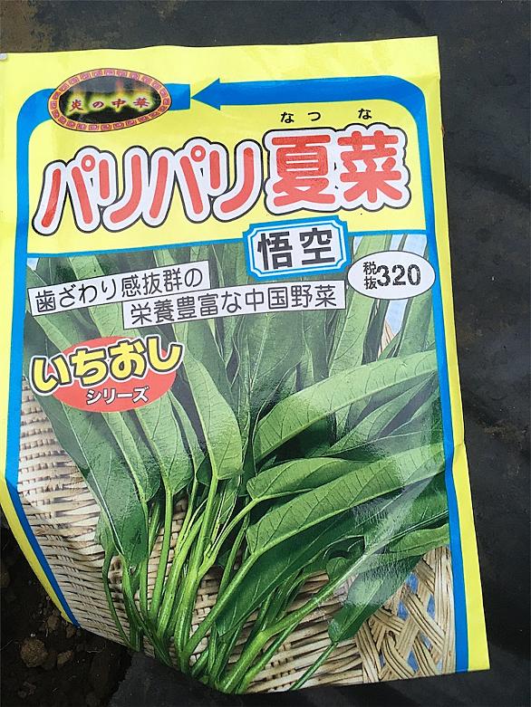 空芯菜とは 食の人気 最新記事を集めました はてな 空芯菜とは 食の人気 最新記事を集めました はてな