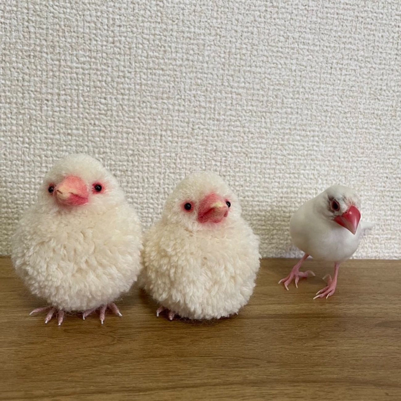 小鳥ぽんぽんを作りました - ポジティブ成人オタクの挑戦