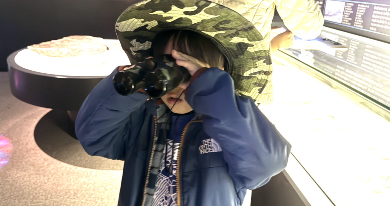 子どもがよろこぶ岡山周辺の恐竜・プリキュアスポット紹介