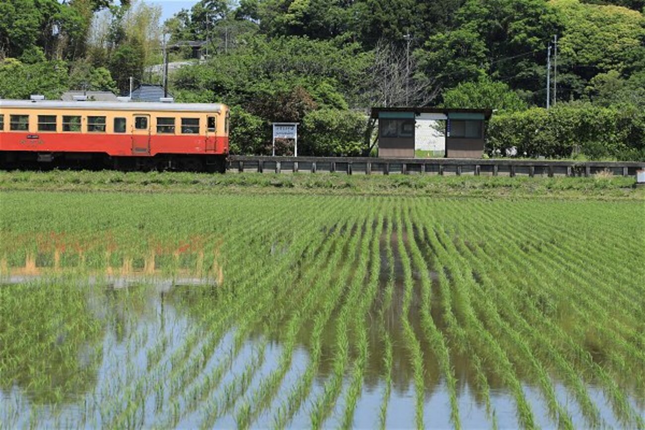 小湊鉄道 －上総川間－ - 線路端のブログⅡ