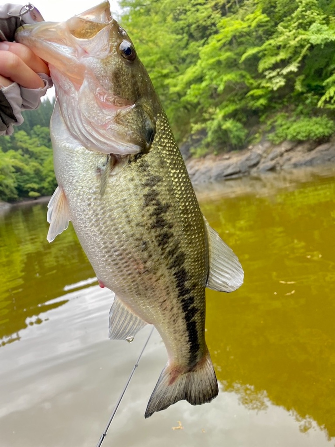 バス釣り@ダム。ようやくの初バス・・・。 - 釣りで一息。