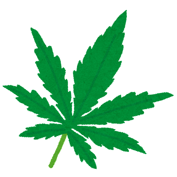 マリファナとは 一般の人気 最新記事を集めました はてな