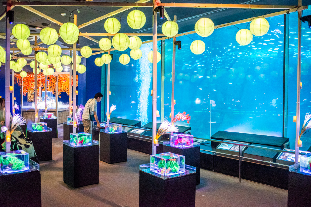 南知多ビーチランド＆おもちゃ王国を実体験レビュー｜食事事情と施設の