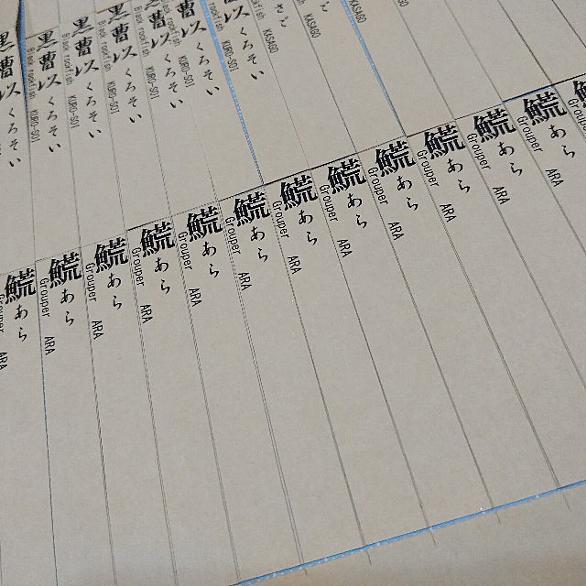 マハタとは 動植物の人気 最新記事を集めました はてな
