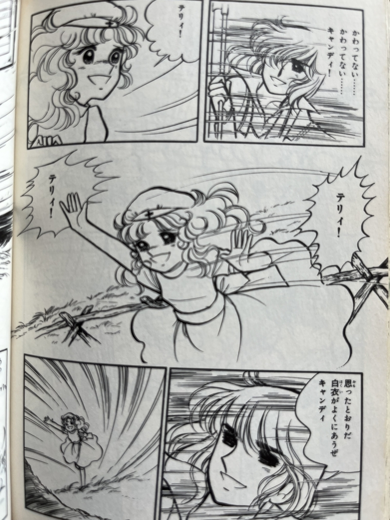 すれ違いばかりのキャンディとテリィが一番幸せだった頃 - くるみDiary