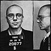 YSIV