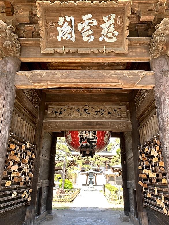 馬橋とは 地理の人気 最新記事を集めました はてな
