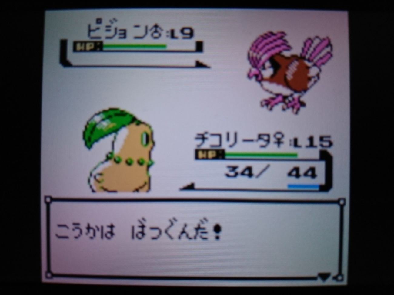 明治 ポケットモンスター ゲットカード 金 チコリータ ポケモン金銀チコリータ編】最初のポケモンにチコリータはいかがですか