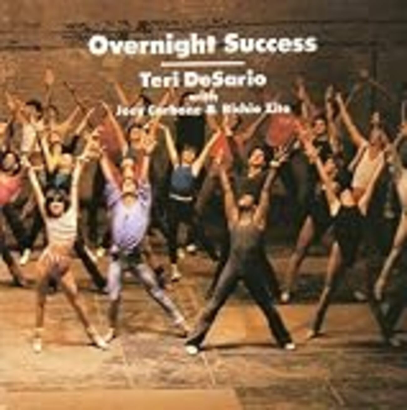 送料無料 Teri DeSario テリー・デサリオ OVERNIGHT SUCCESS オーバー 