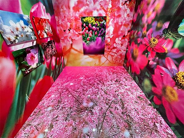 蜷川実花とは アートの人気 最新記事を集めました はてな