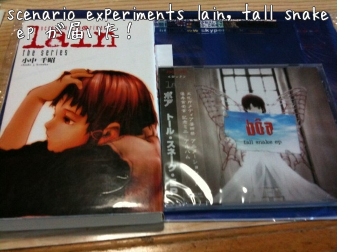 serial experiments lainを見てやられた年始め - ここはtermin