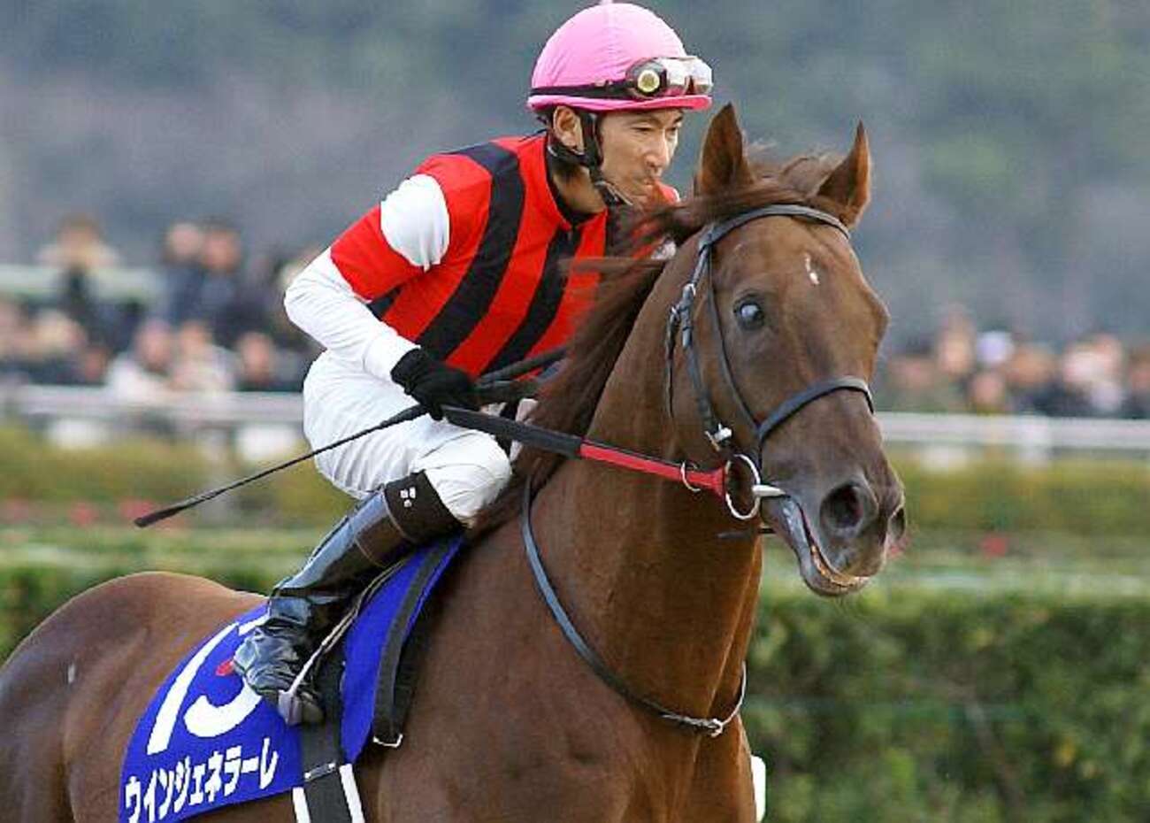 馬の瞳を見つめて 最年少・最年長・最多勝” 武豊がメイショウタバルで宝塚記念制覇