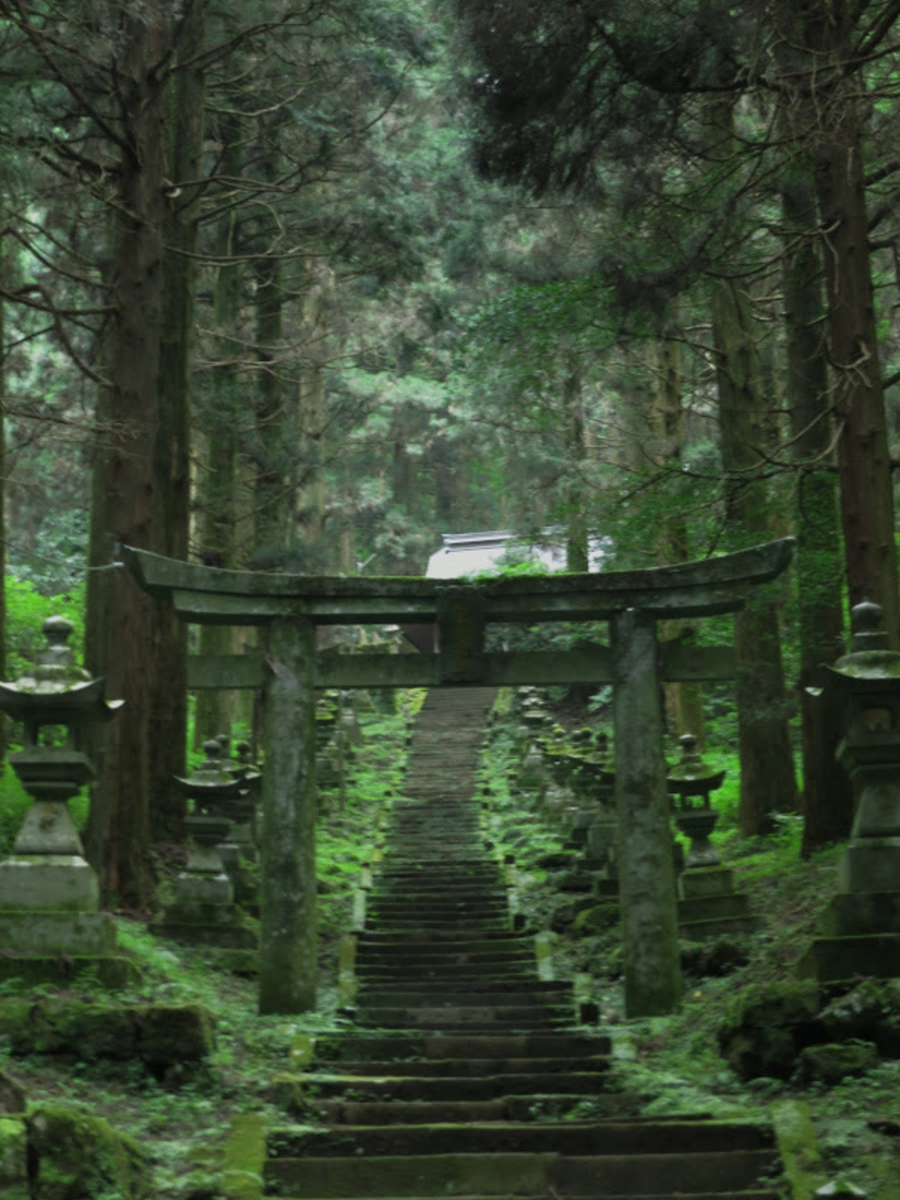 夏にこそ来たかった場所：「蛍火の杜へ」舞台探訪（聖地巡礼） - 旅空