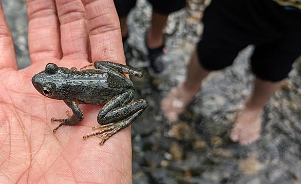松橋利光とは 動植物の人気 最新記事を集めました はてな