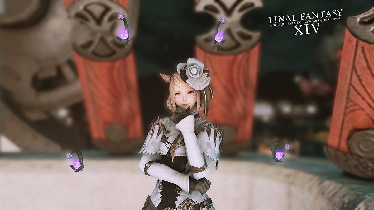 Sera Blog