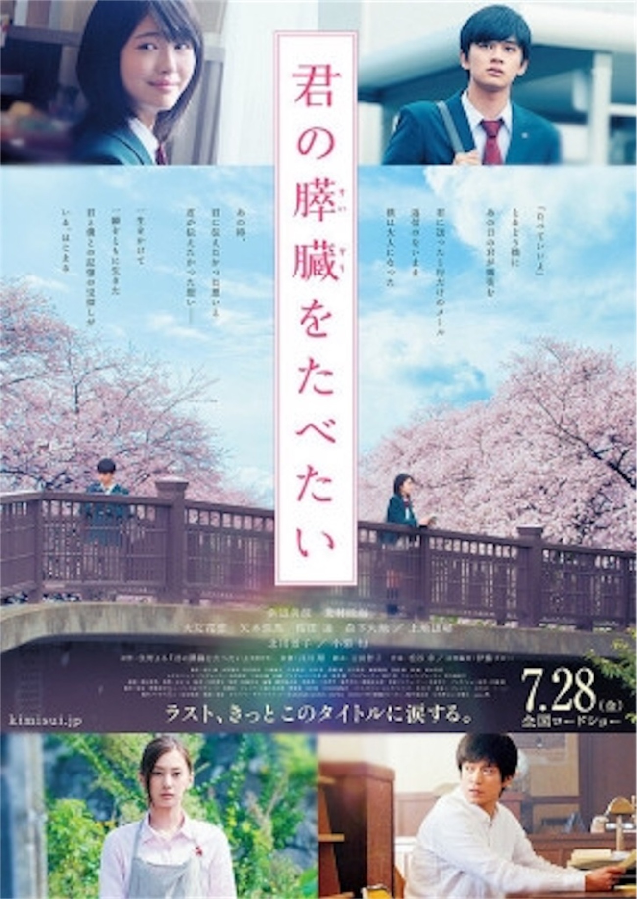 活動歴および当時の関連ビジュアル記録