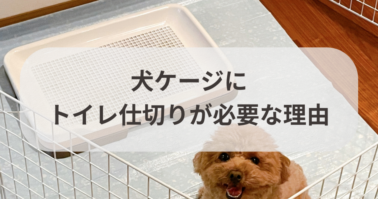 100均で簡単！犬ケージのトイレ仕切りDIY完全ガイド - くらしの音色