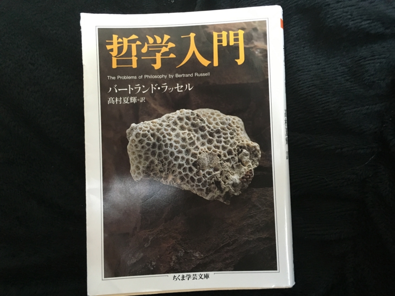 全然、「入門」じゃない【読書感想文】『哲学入門』バートランド