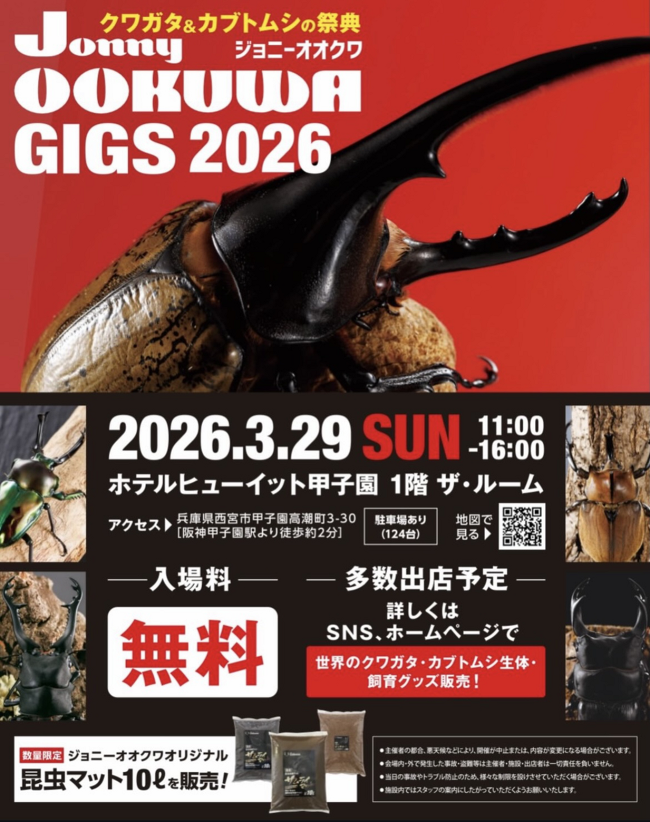 阪神甲子園｜2026年3/29開催！甲子園に世界のクワガタ・カブトムシが大