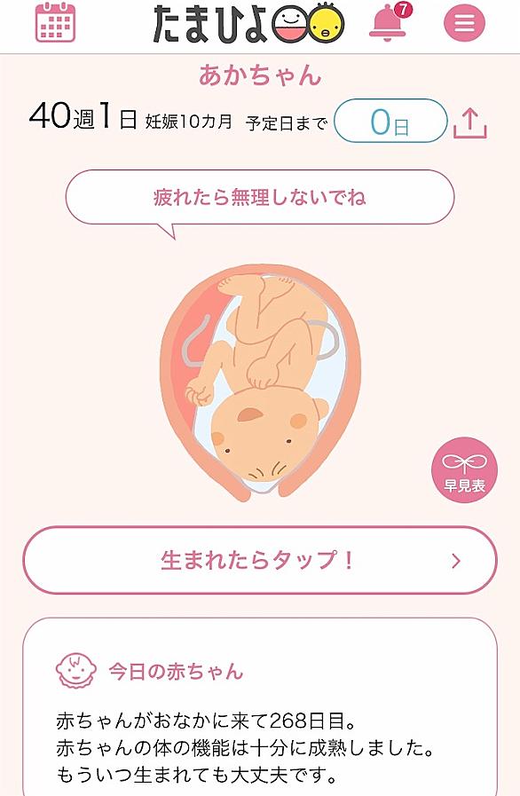 おしるしとは 一般の人気 最新記事を集めました はてな おしるしとは 一般の人気 最新記事を集めました はてな