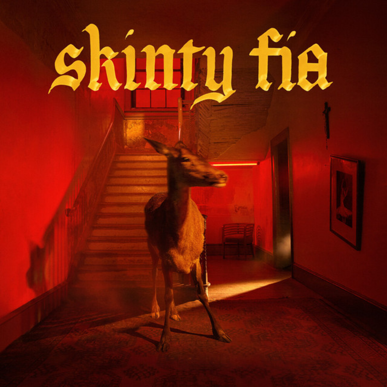 Fontaines D.C. - Dogrel(2019)/A Hero's Death(2020)/Skinty Fia(2022) - 朱莉TeenageRiot