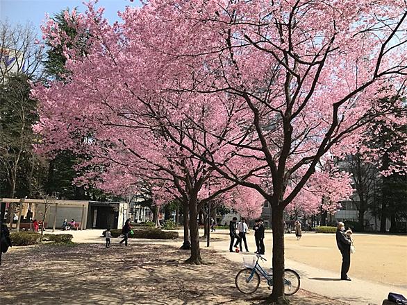 鈴木大地とは スポーツの人気 最新記事を集めました はてな 鈴木大地とは スポーツの人気 最新記事を集めました はてな