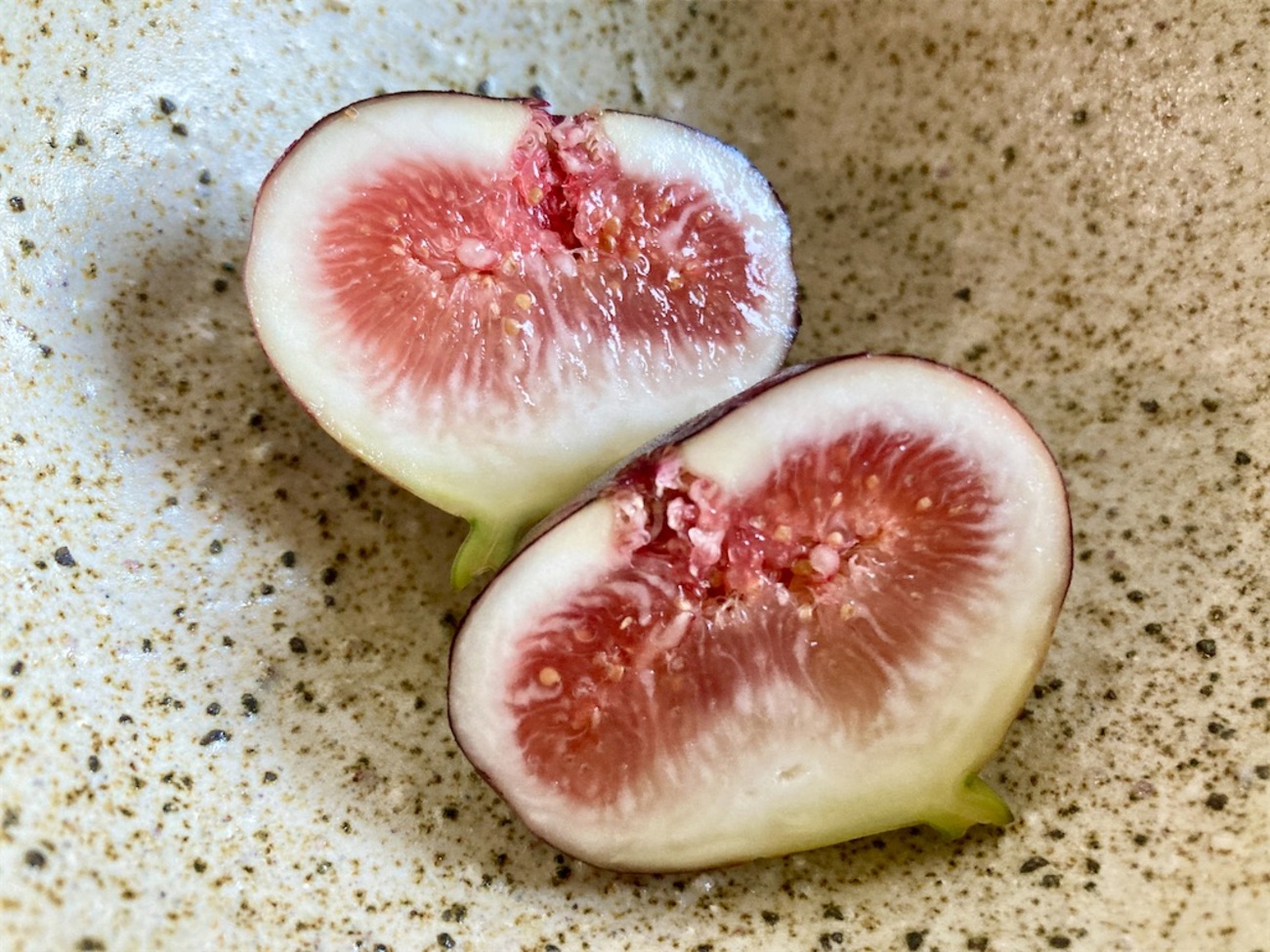 バンコクいちじく日記「取り木チャレンジと挿し木リベンジのその後