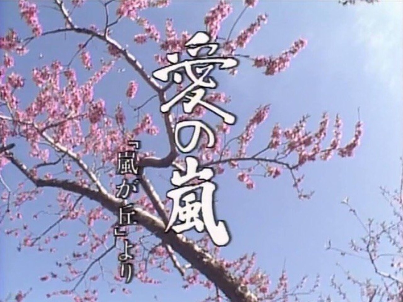 昼ドラ『愛の嵐』を見終わりました - 退屈な日々 / Der graue Alltag