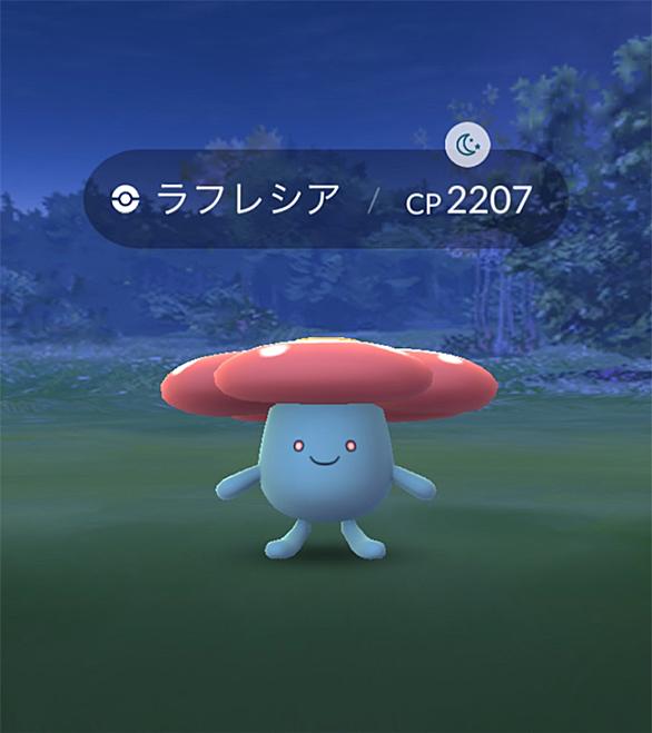 ラフレシアとは 動植物の人気 最新記事を集めました はてな