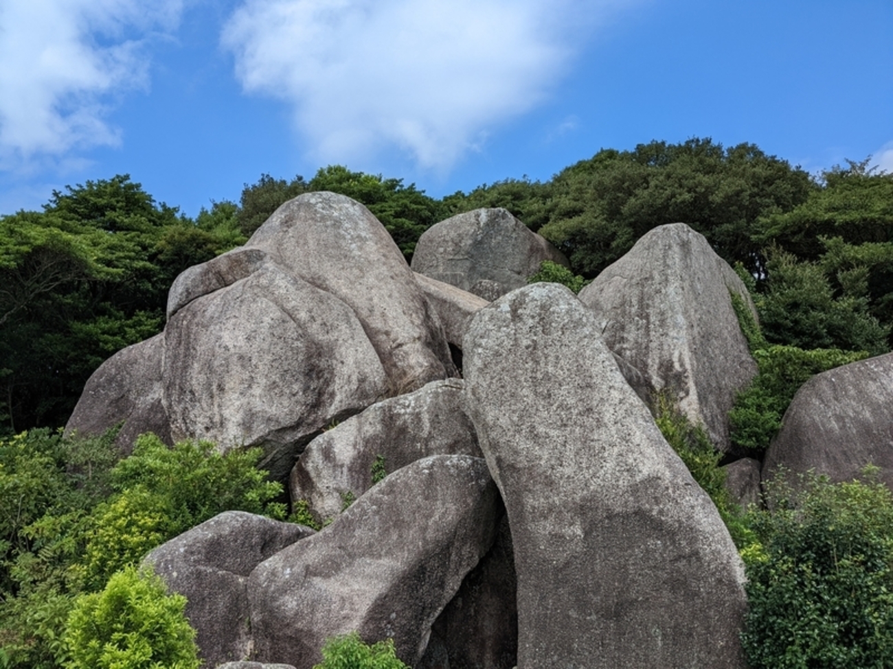空山の額　〜貝殻で岩に立つ虎を表現している。値下げ交渉してください。 空山の額〜貝殻で岩に立つ虎を表現している。値下げ交渉して